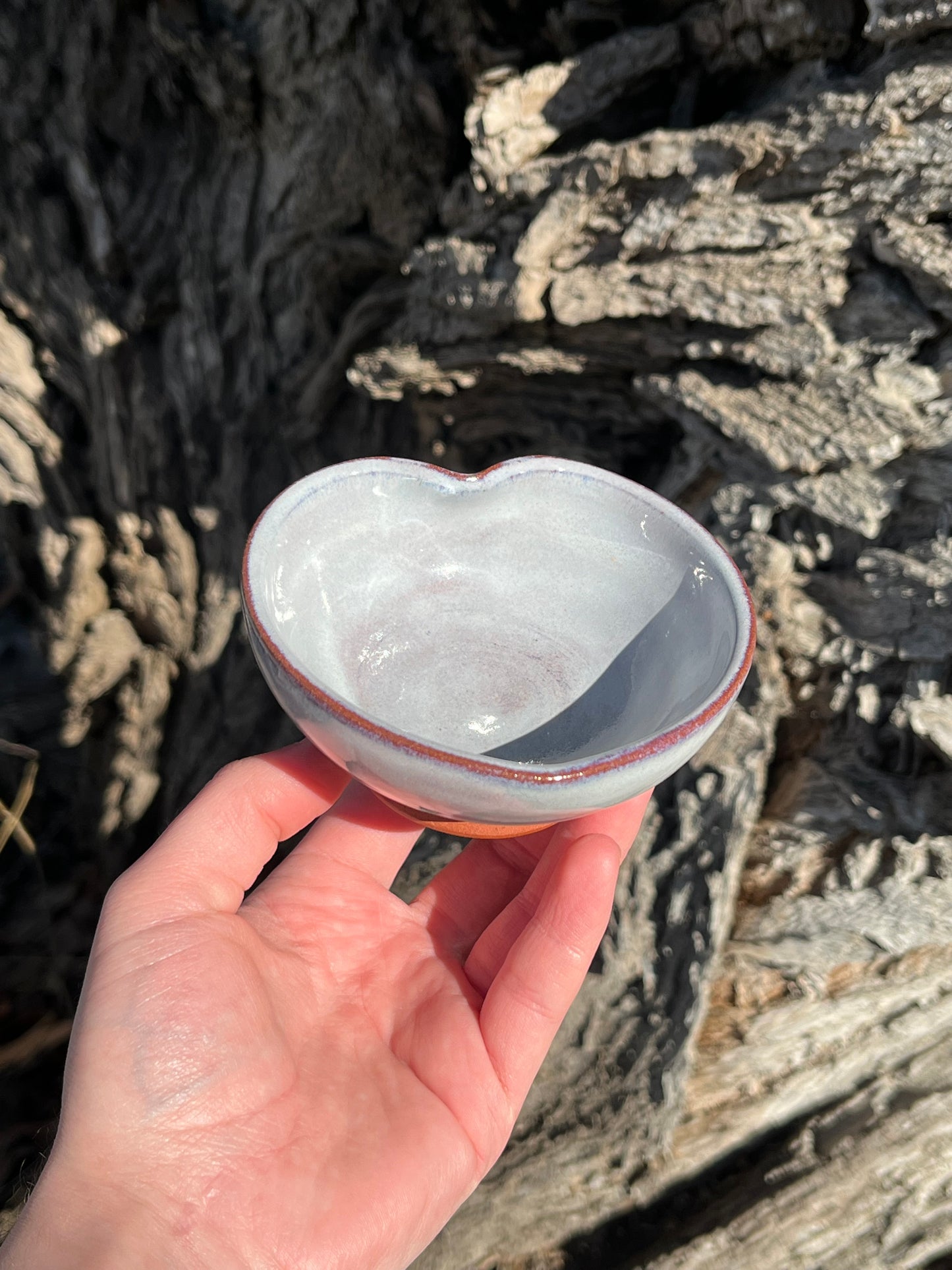 010 Mini Bowl