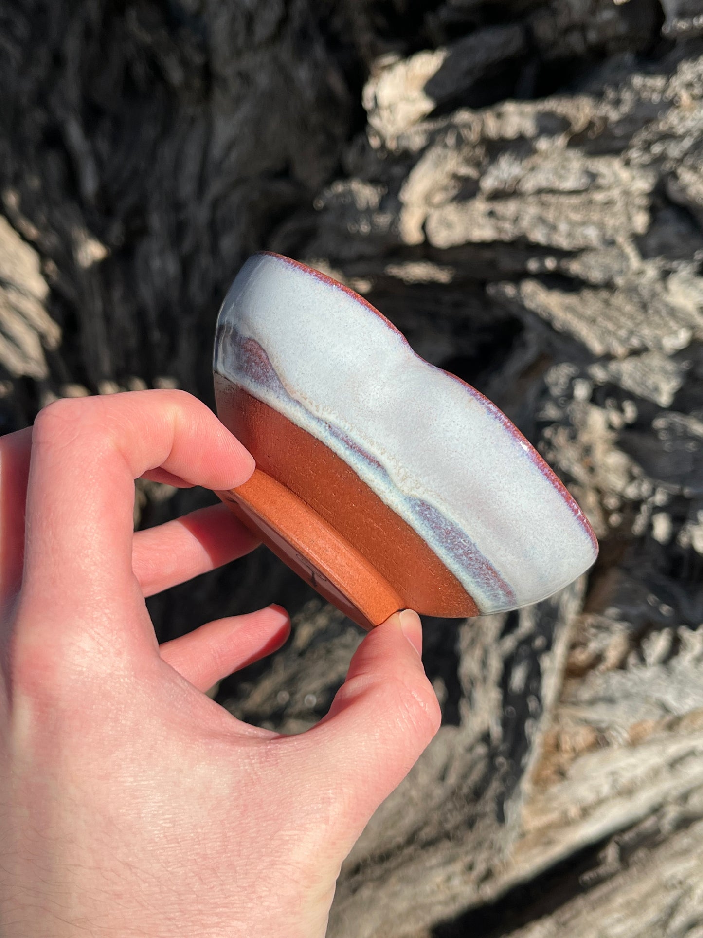010 Mini Bowl