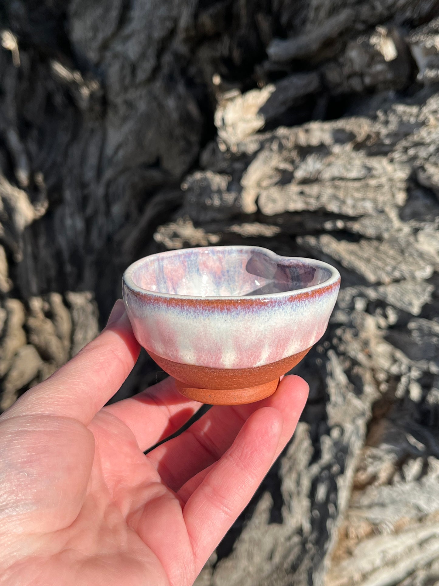 013 Mini Bowl