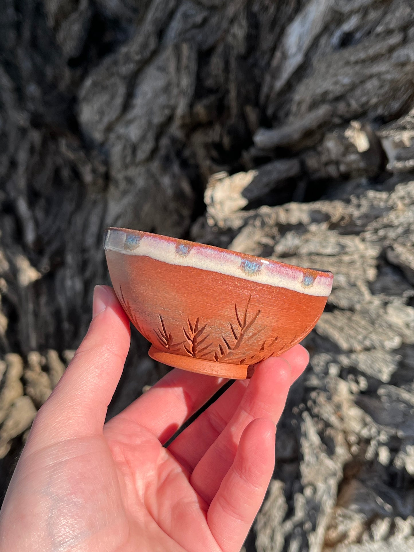 011 Mini Bowl