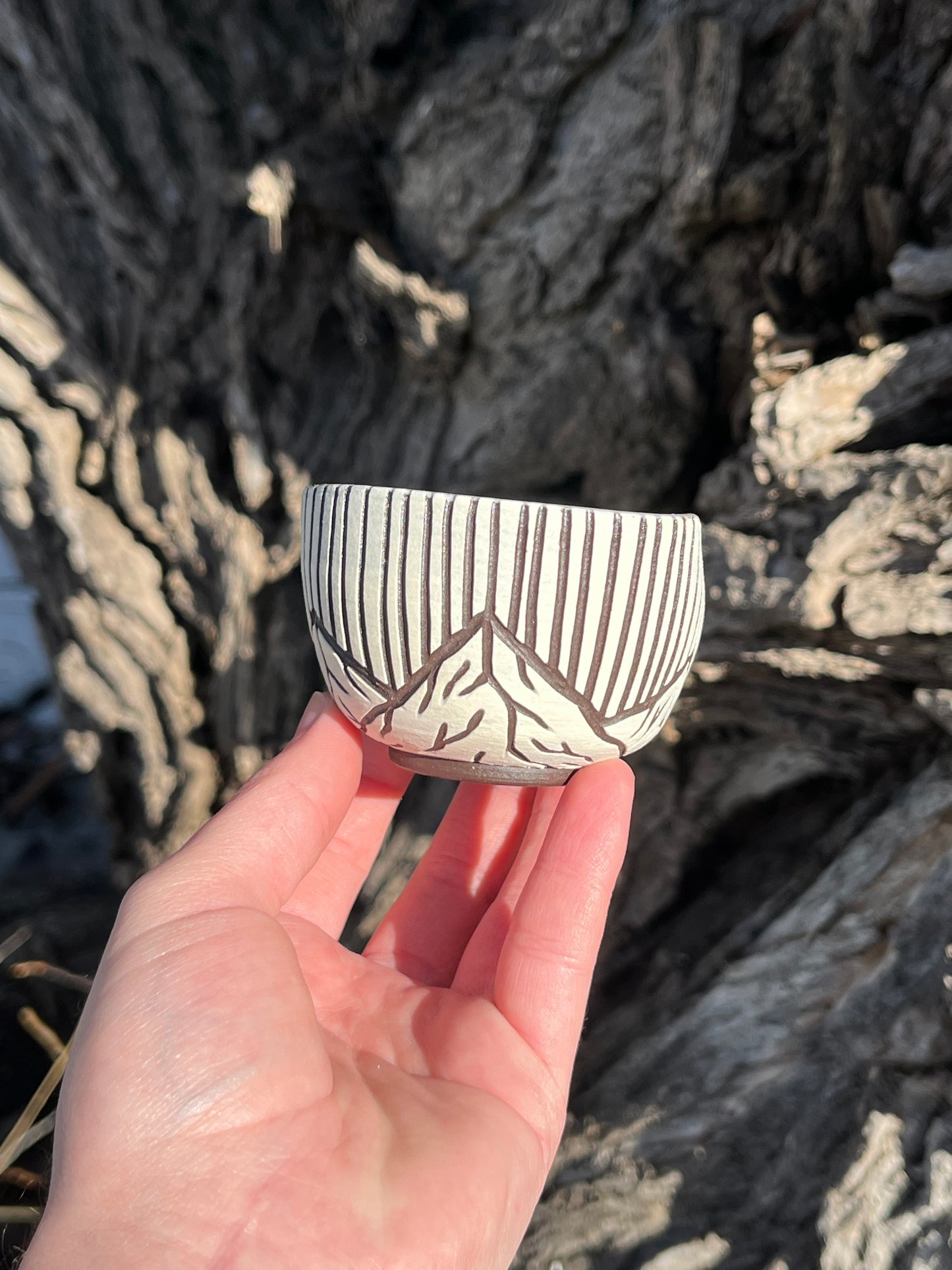 018 Mini Bowl
