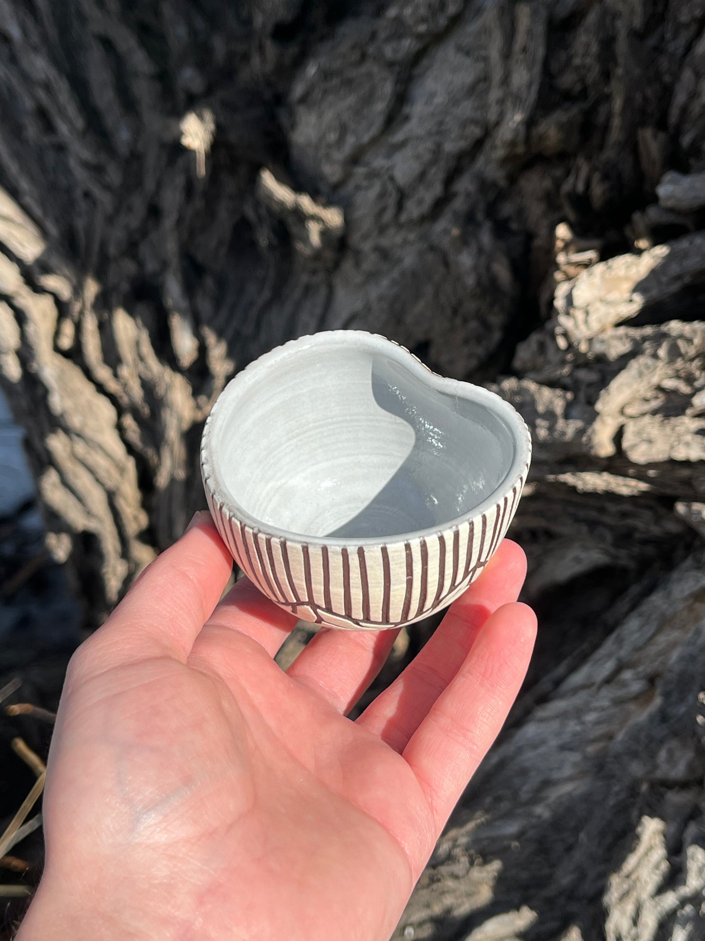018 Mini Bowl