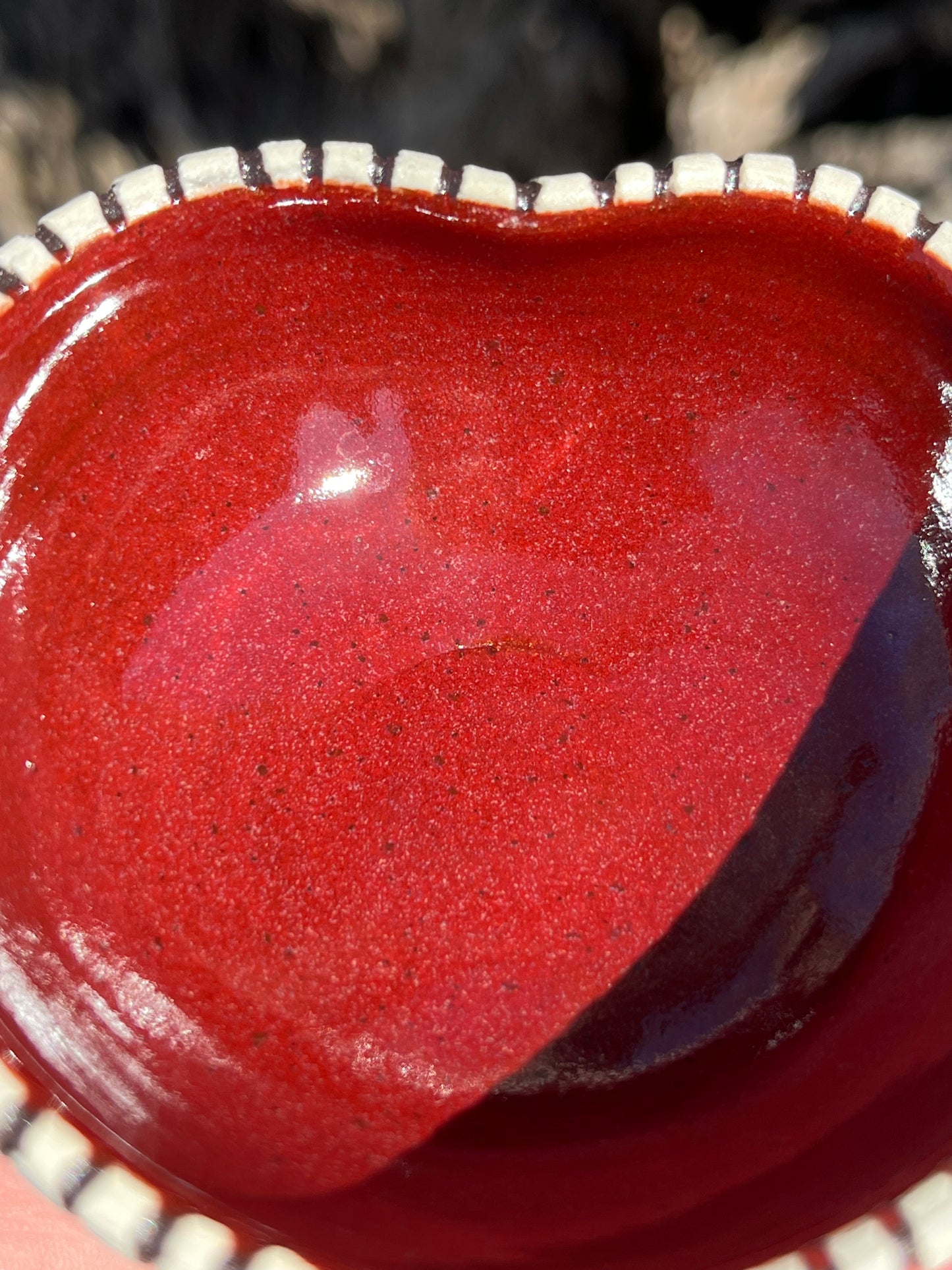 019 Mini Bowl
