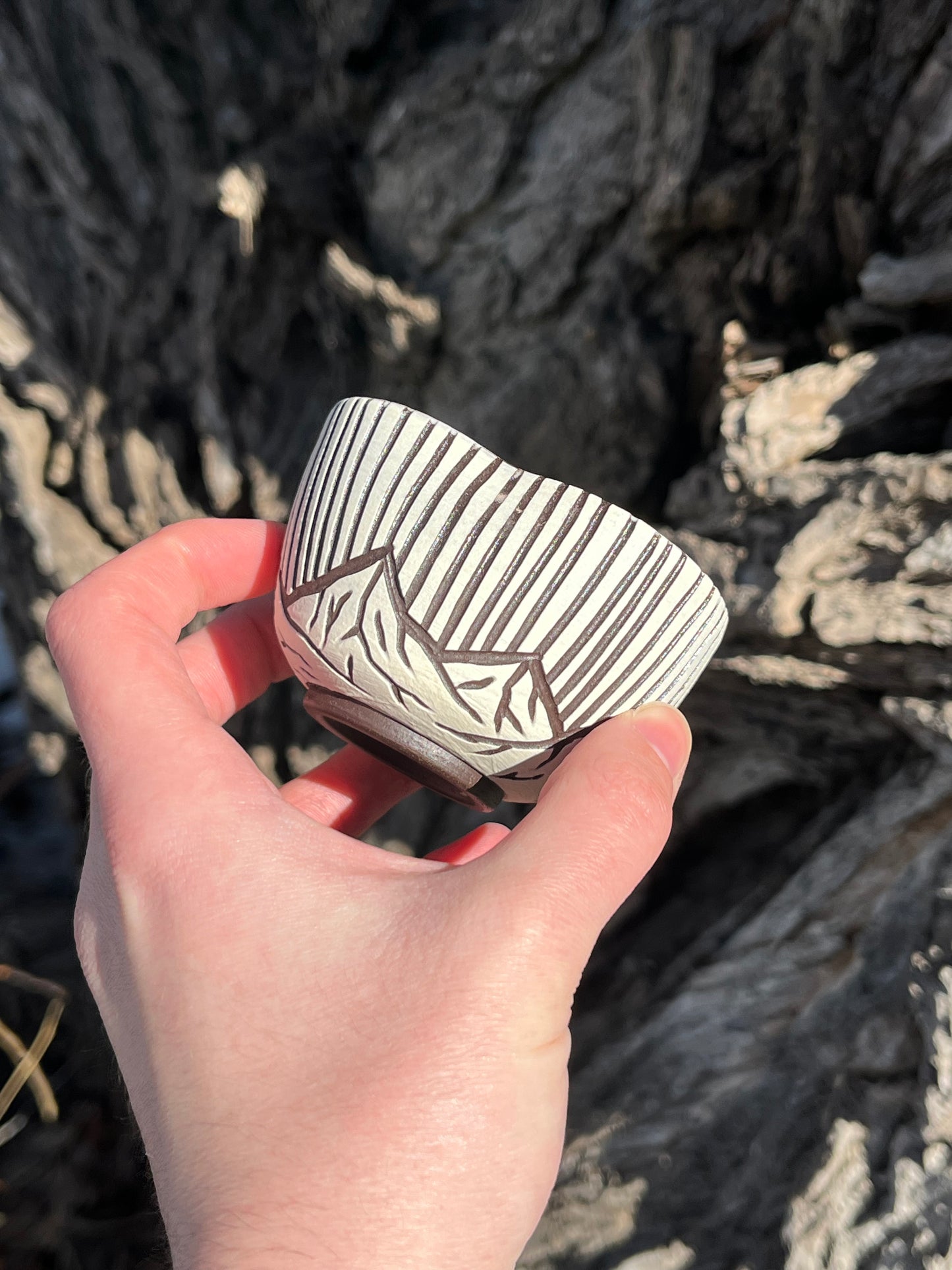 018 Mini Bowl