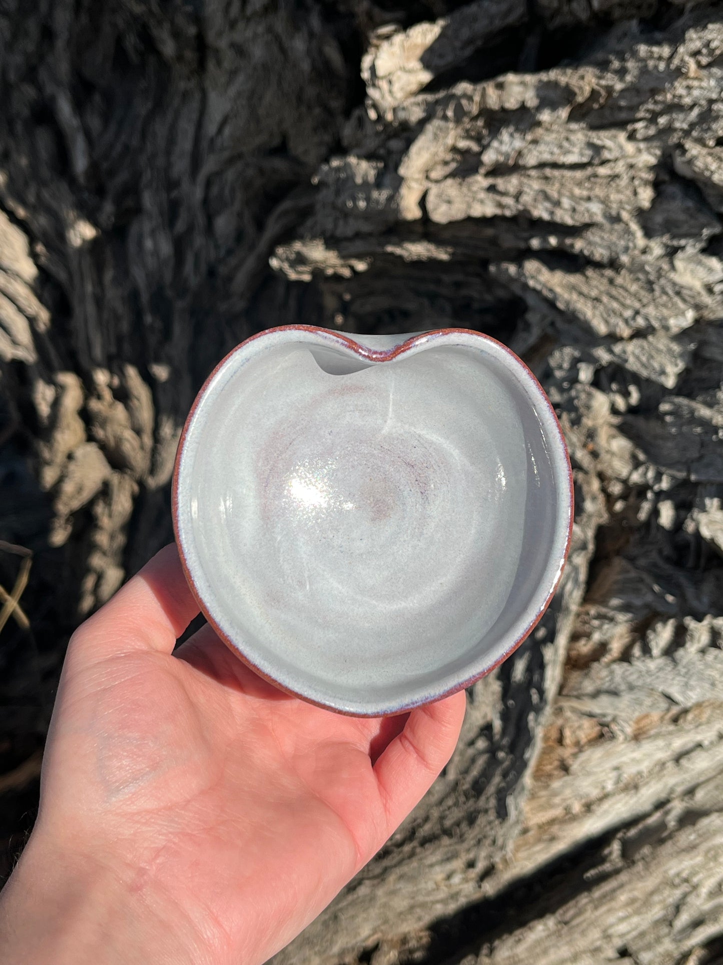 010 Mini Bowl