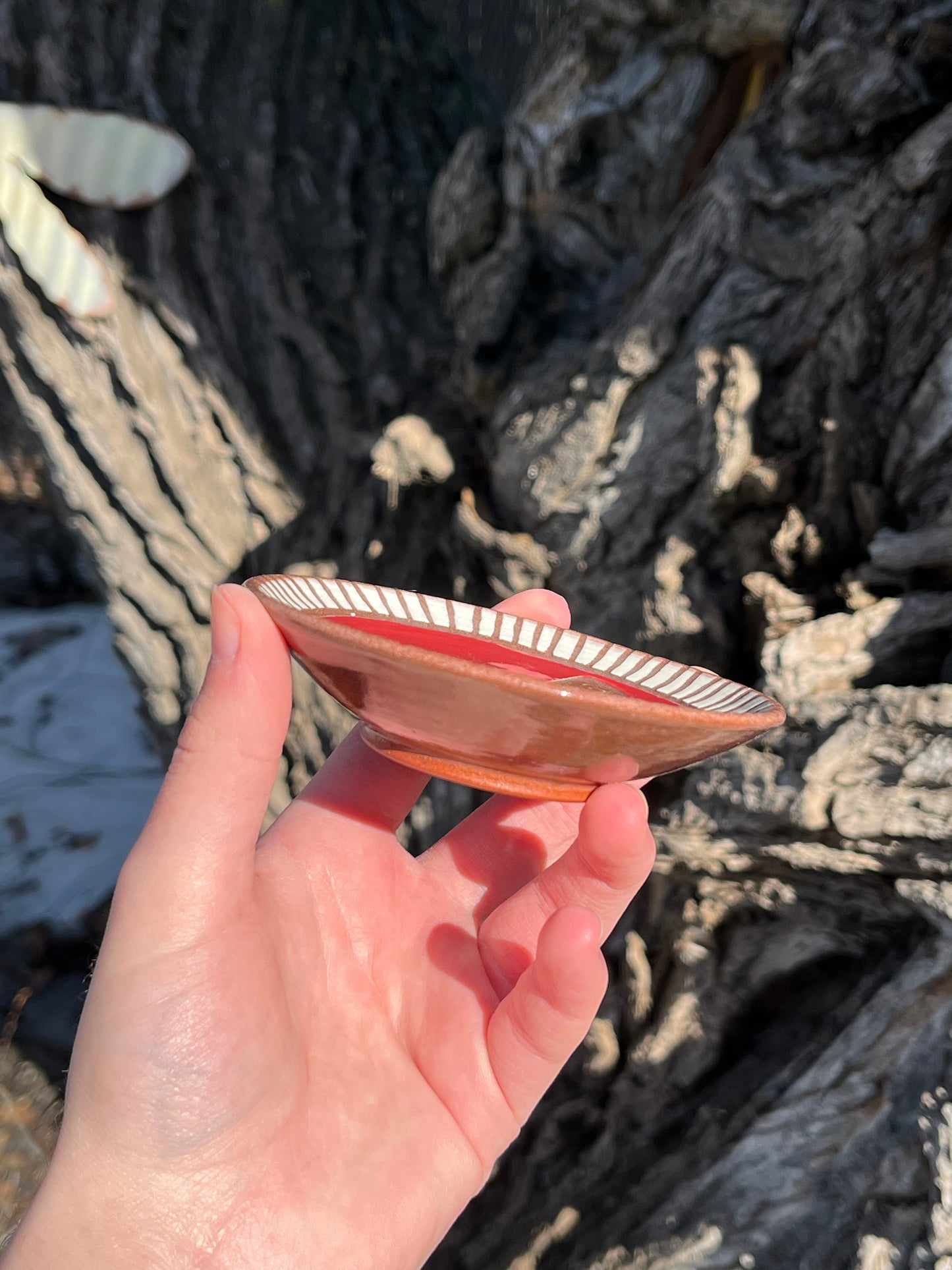 026 Ring Dish
