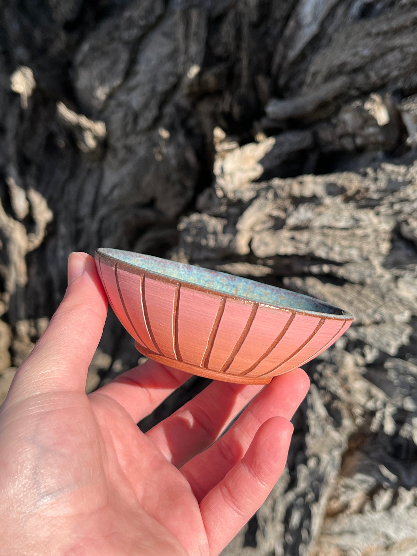 014 Mini Bowl