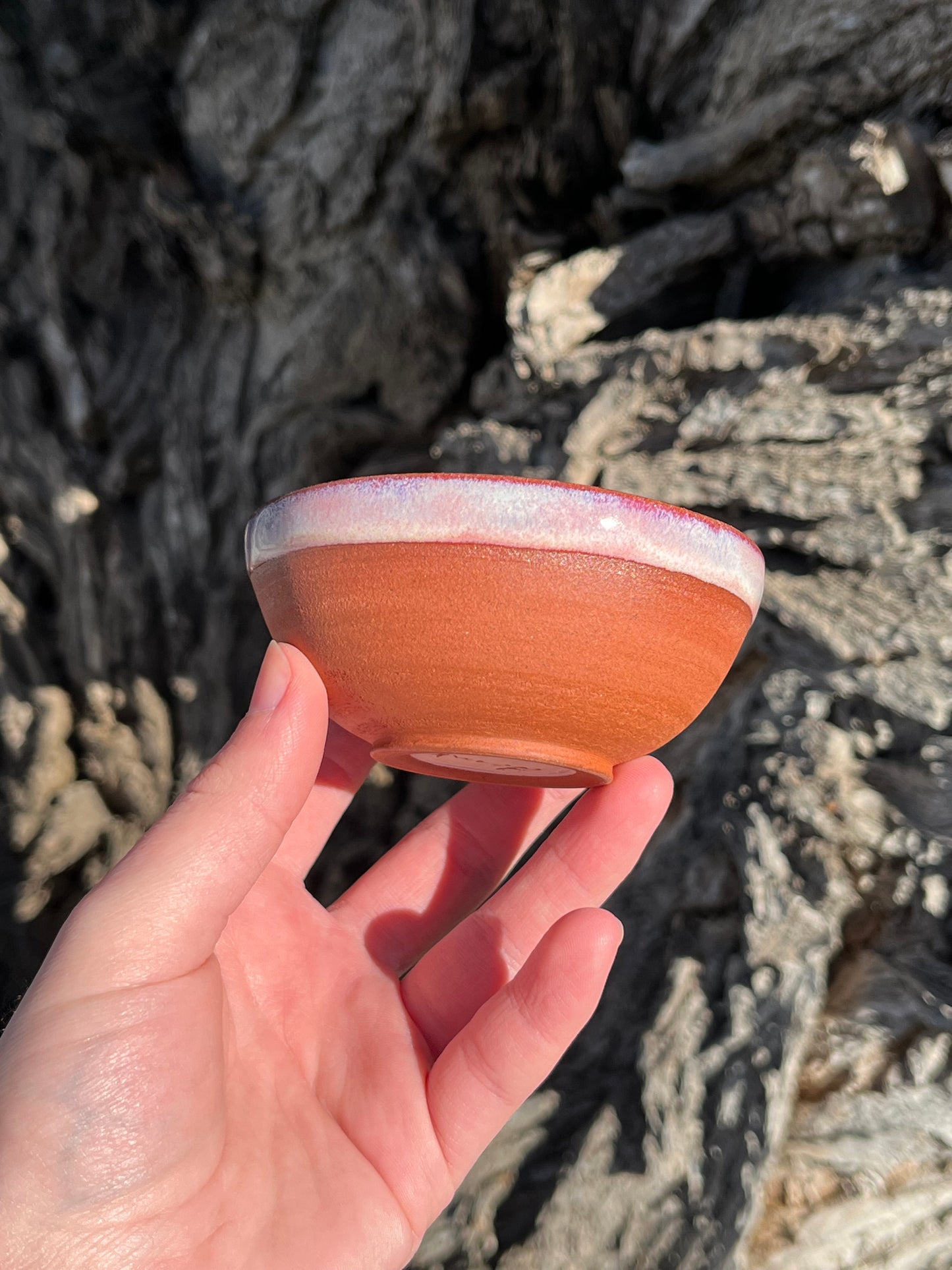 009 Mini Bowl