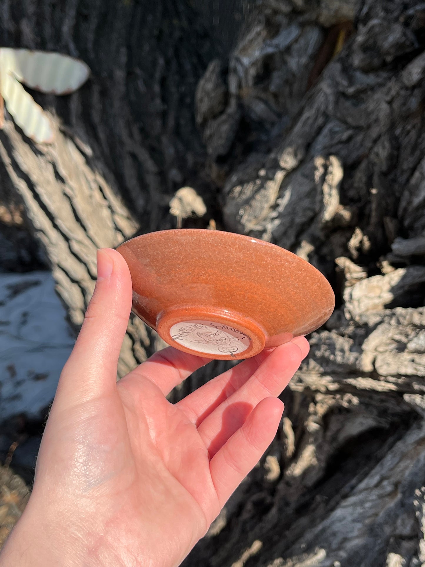 026 Ring Dish