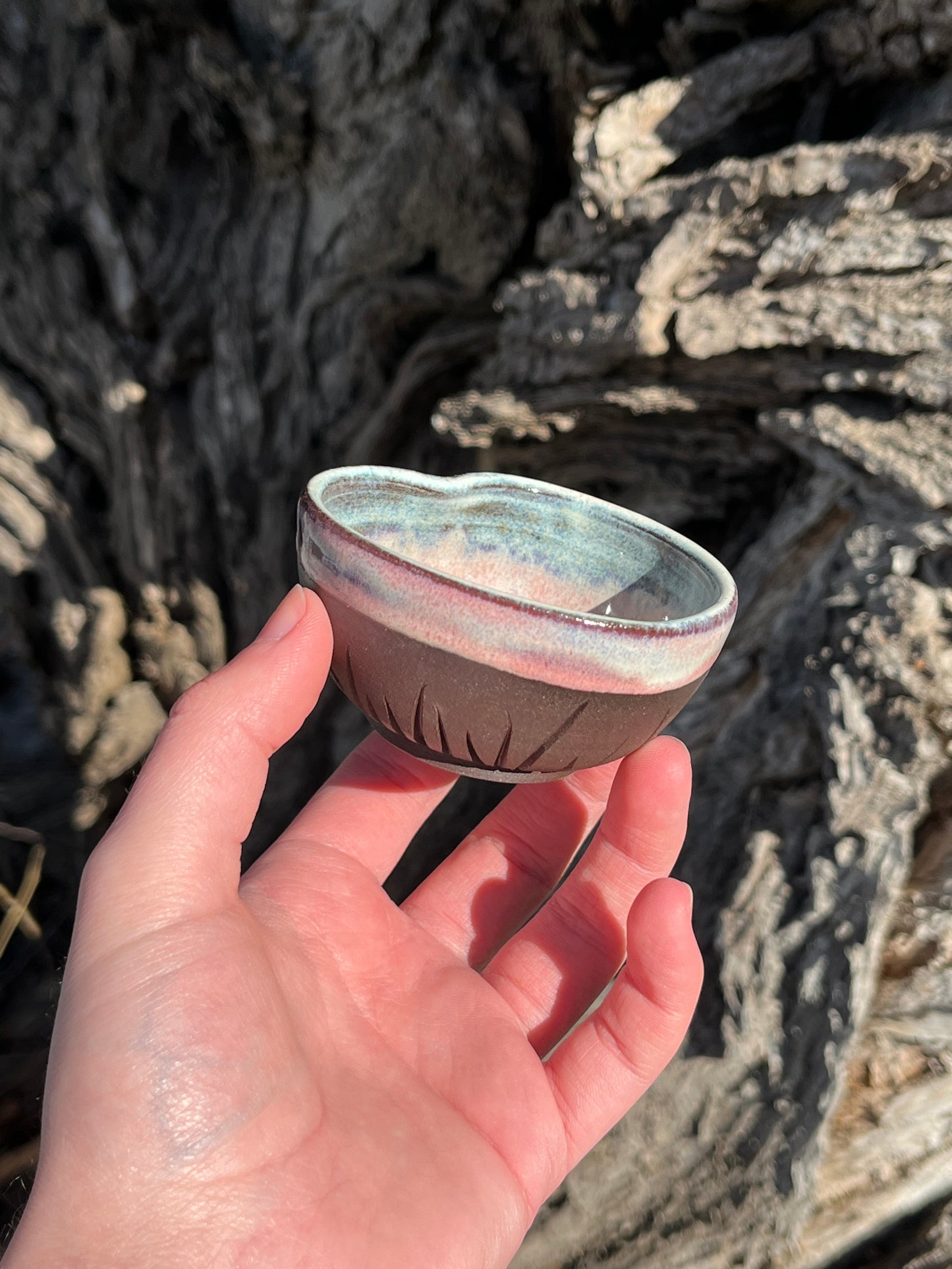 015 Mini Bowl
