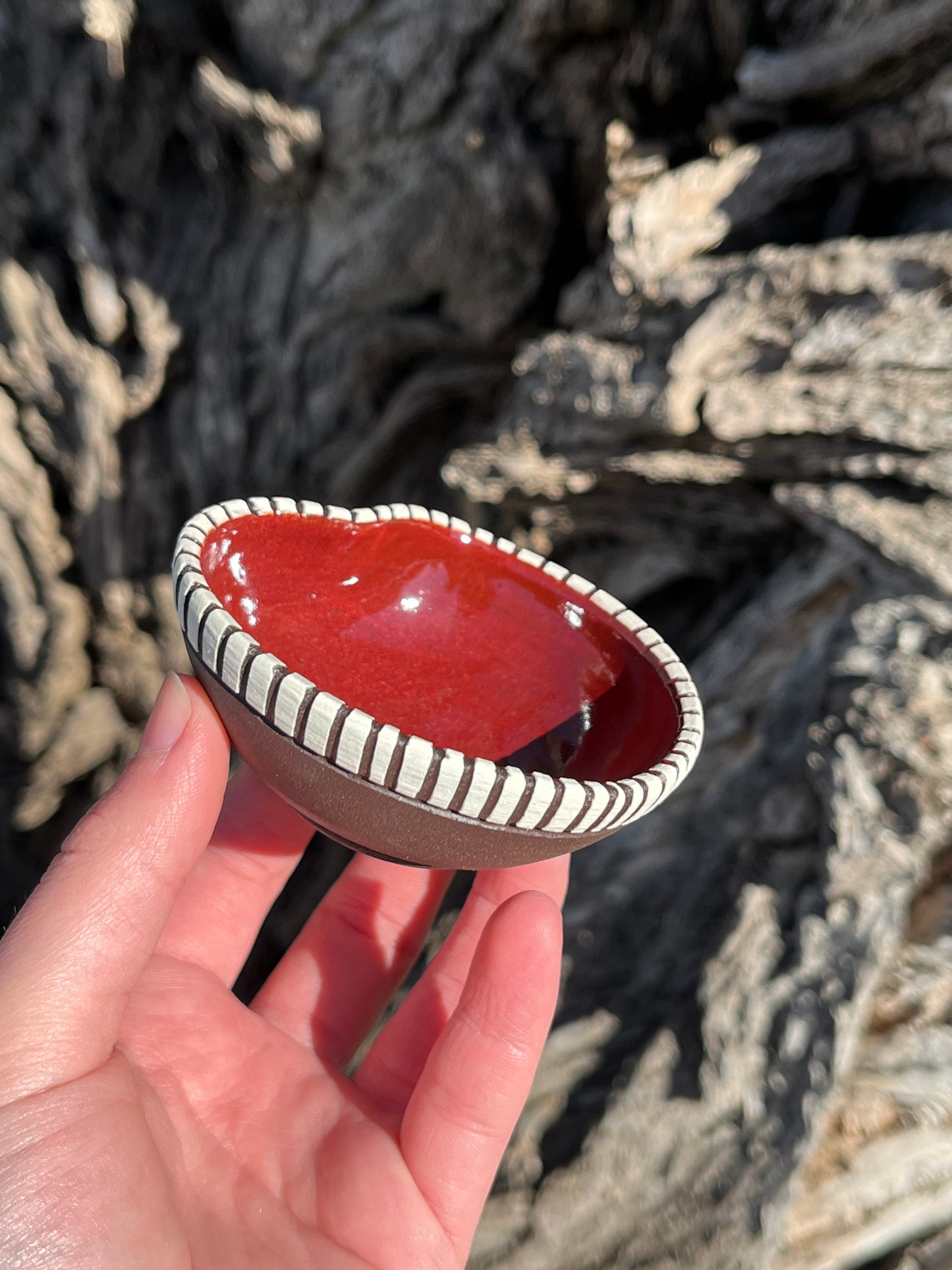 019 Mini Bowl