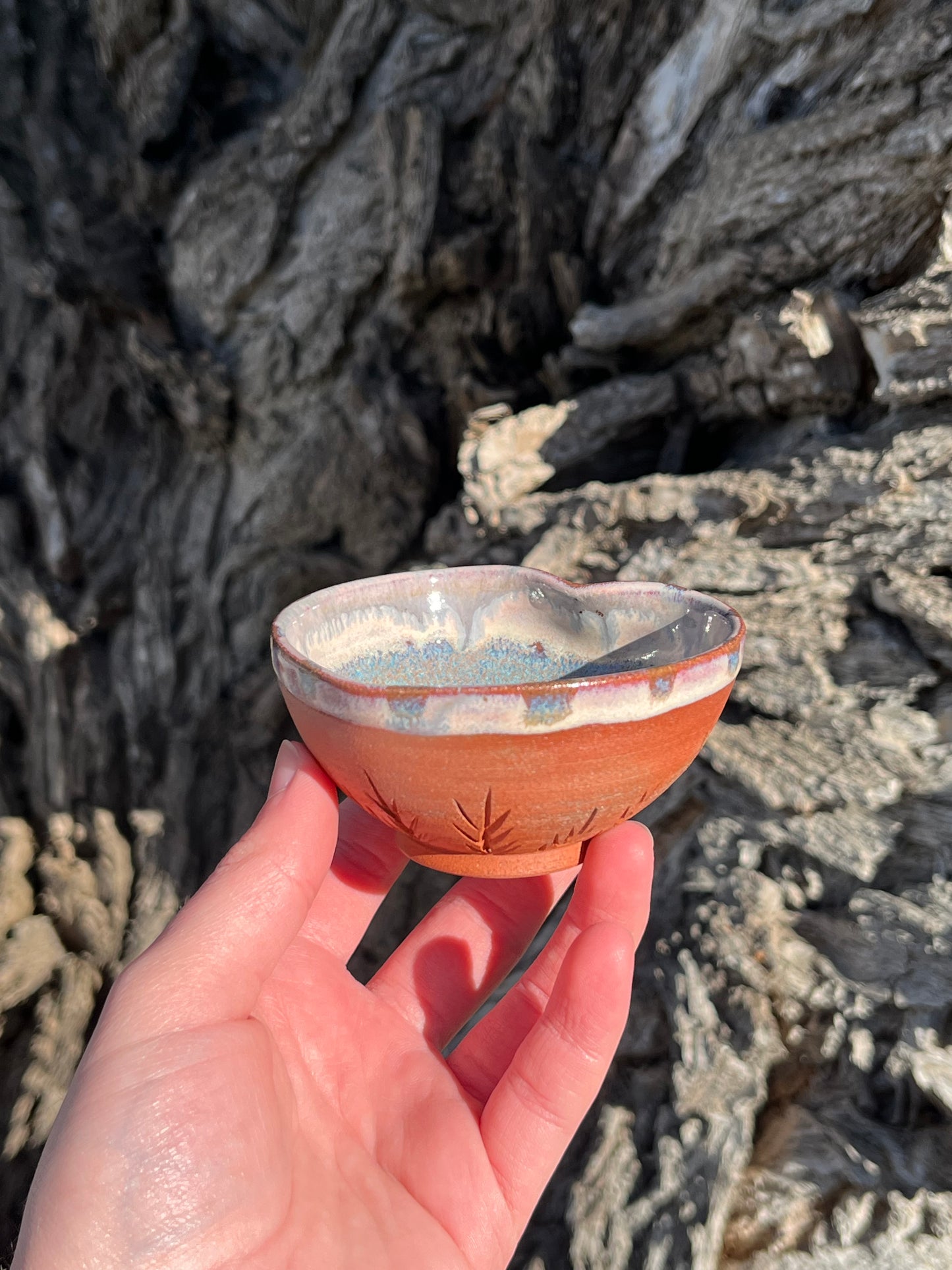 011 Mini Bowl