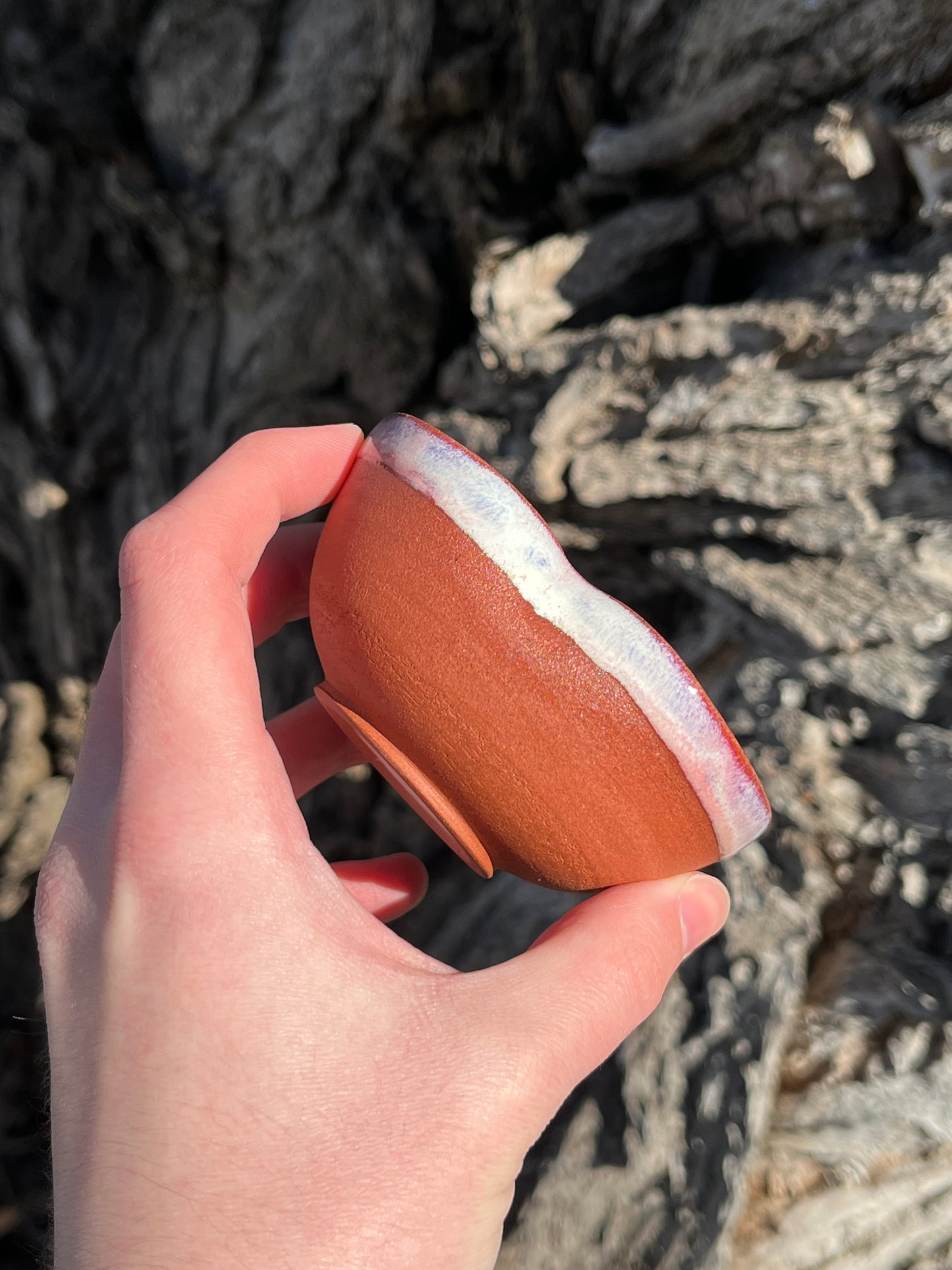 009 Mini Bowl