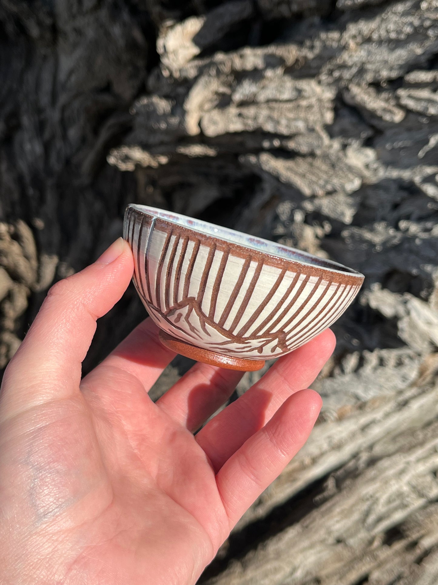 008 Mini Bowl