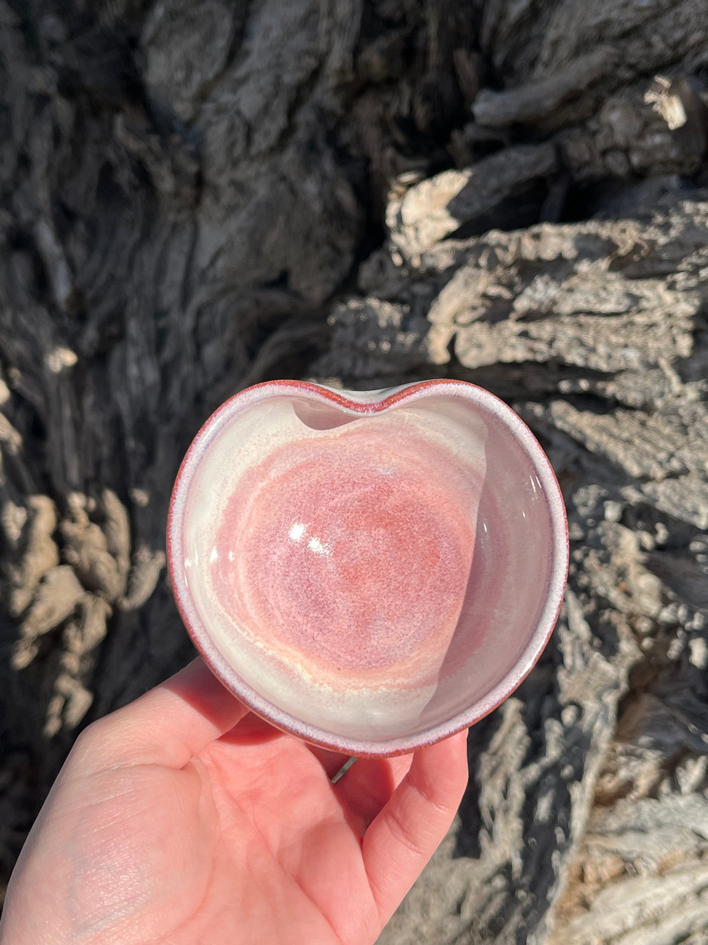 009 Mini Bowl