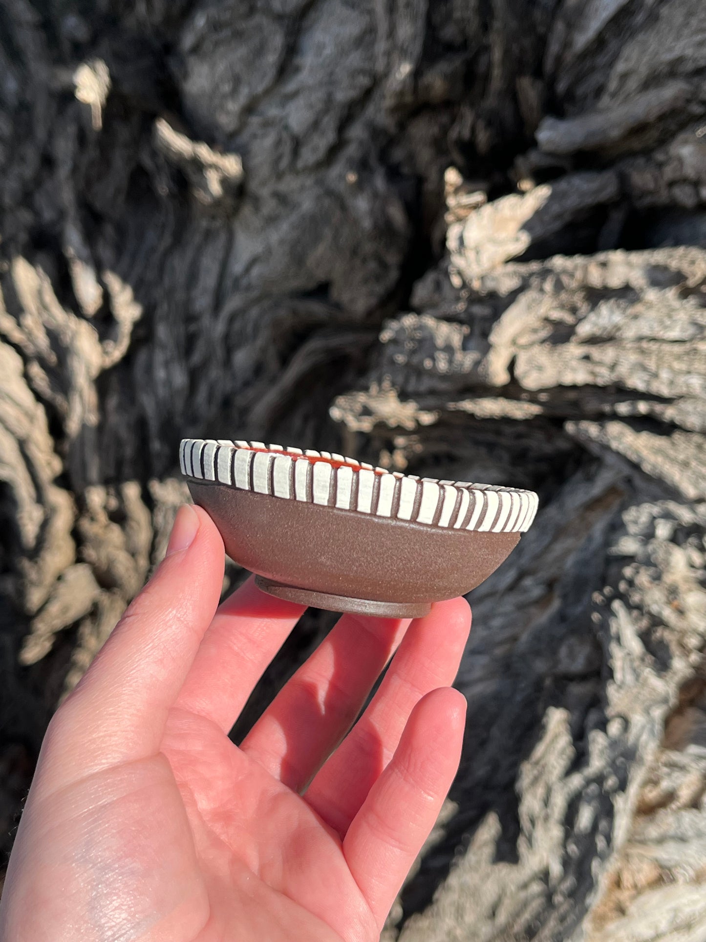019 Mini Bowl