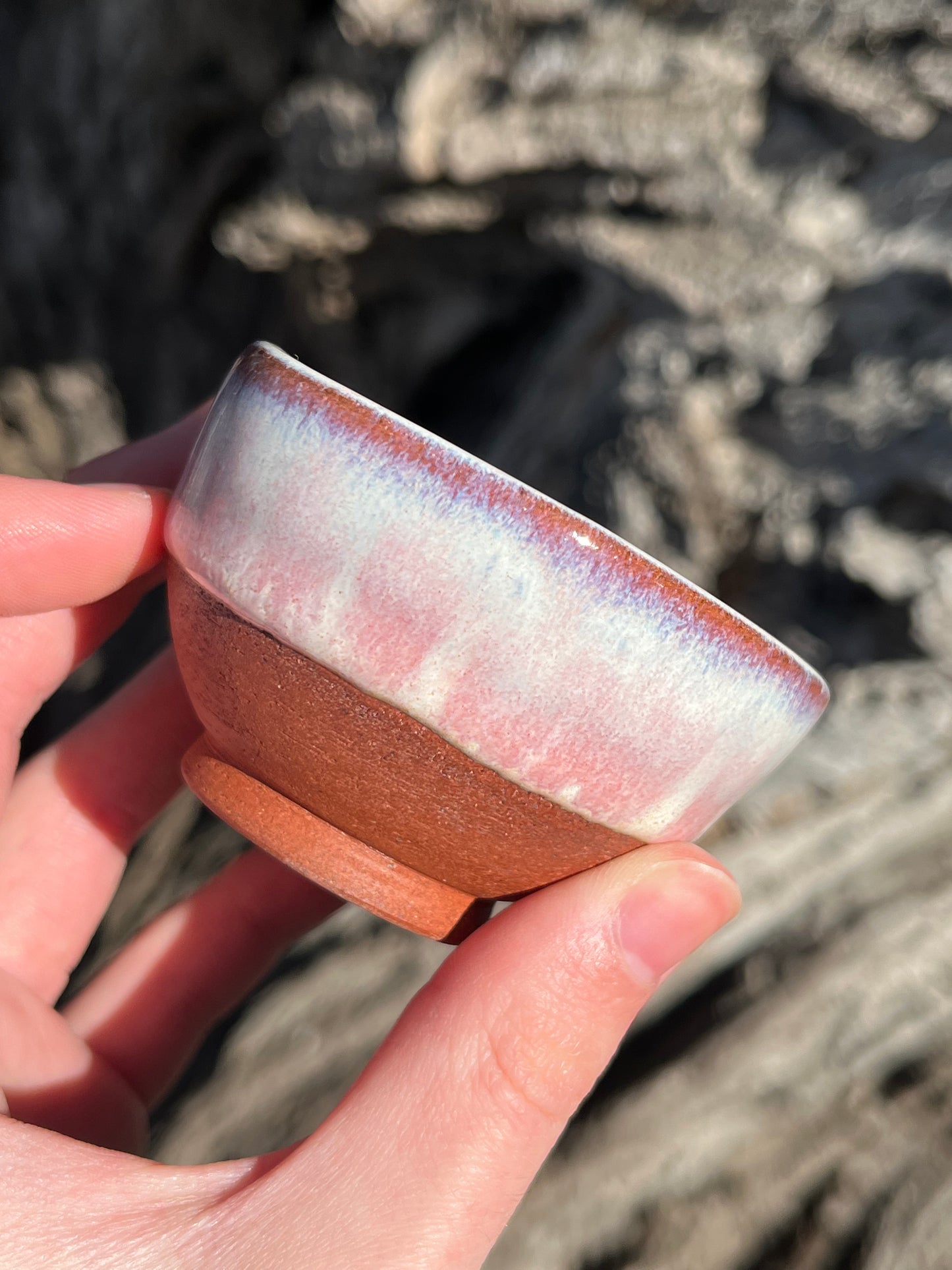 013 Mini Bowl