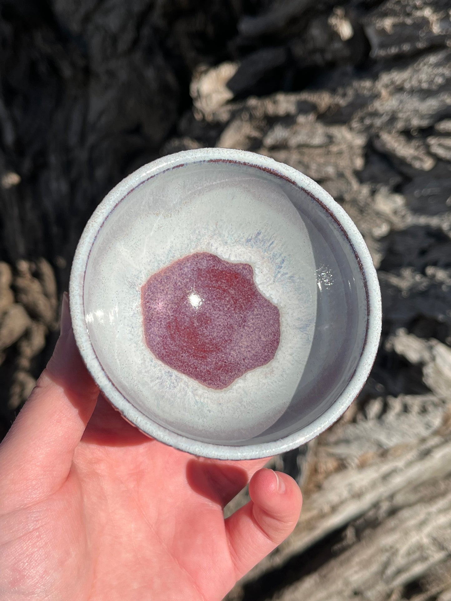 008 Mini Bowl