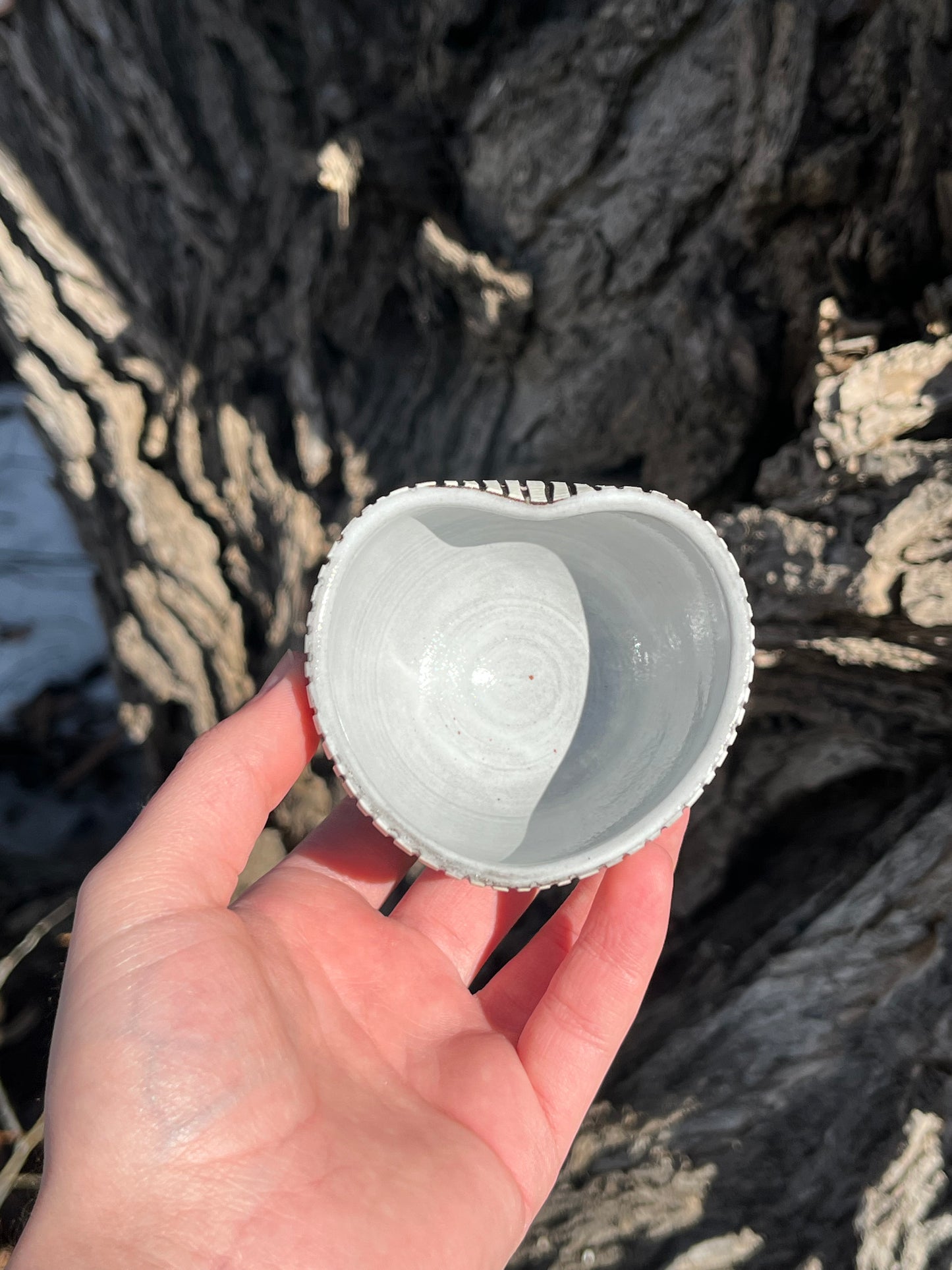 018 Mini Bowl