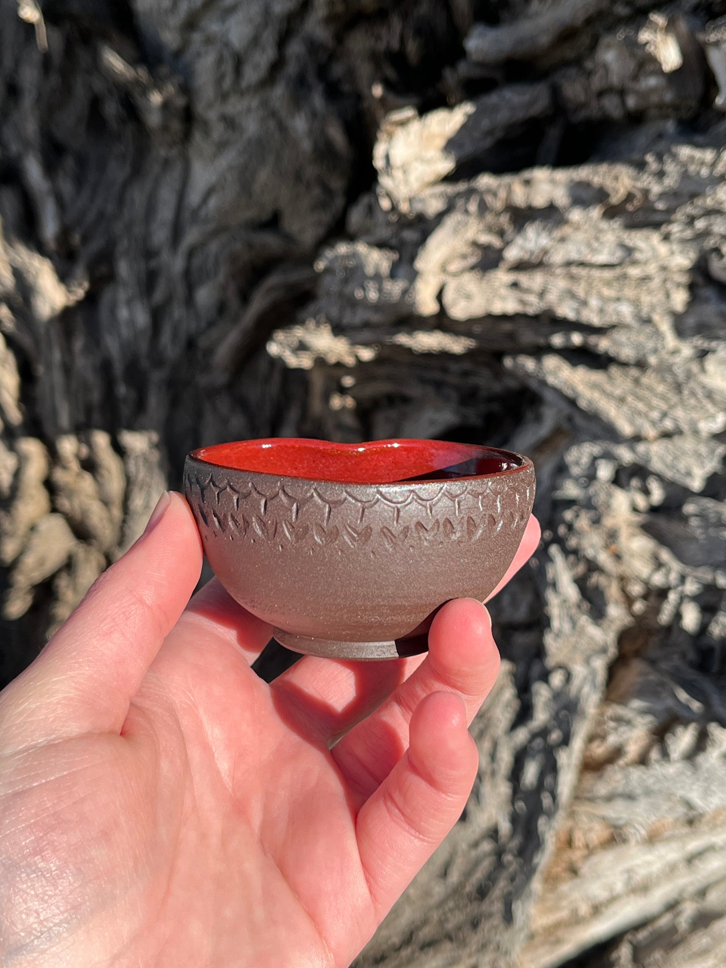 016 Mini Bowl