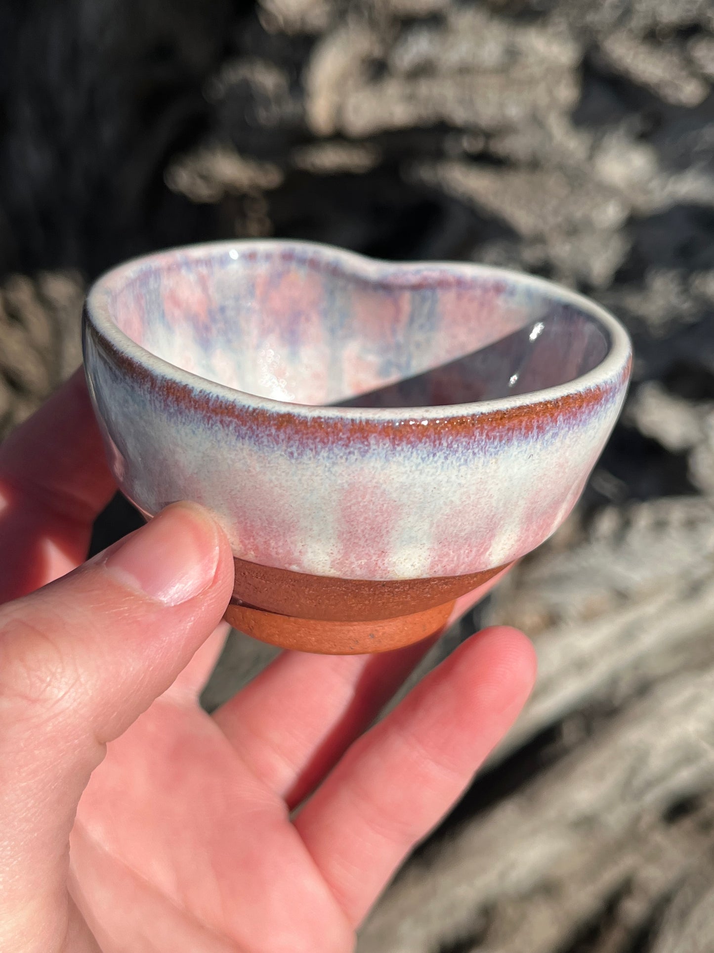 013 Mini Bowl