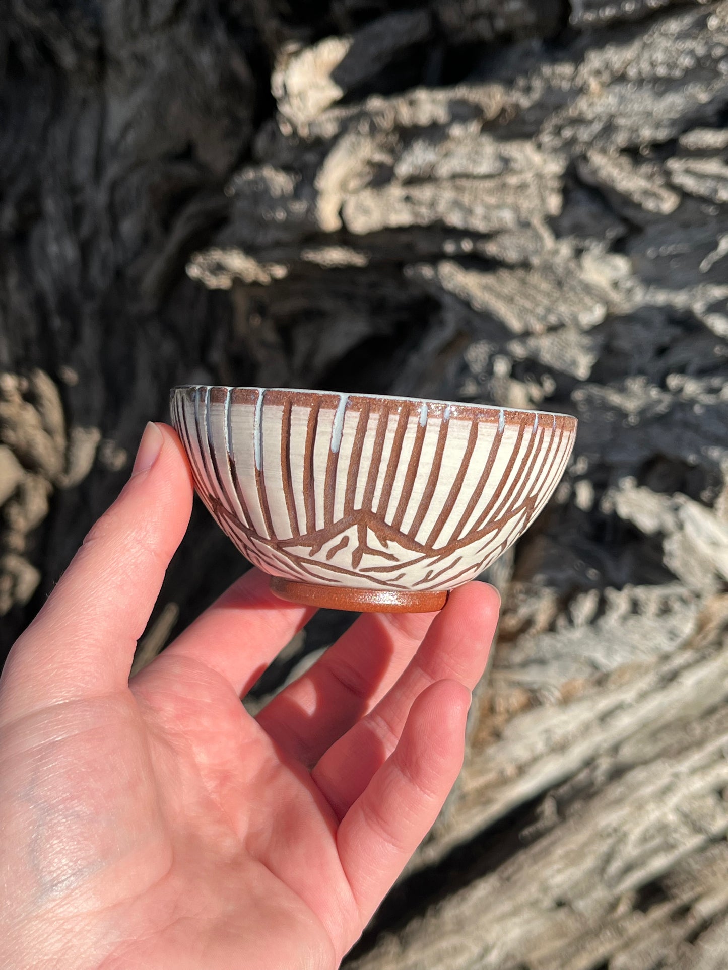 008 Mini Bowl