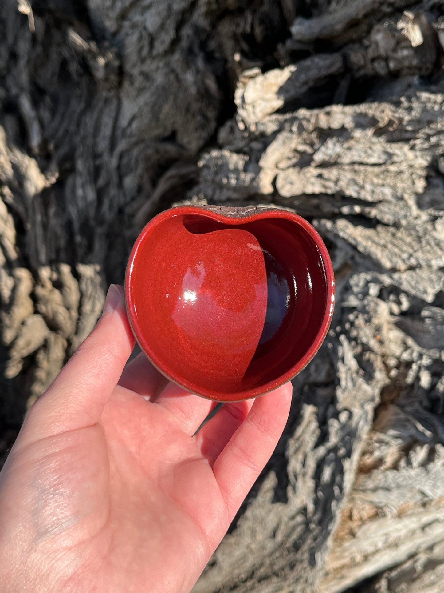 016 Mini Bowl