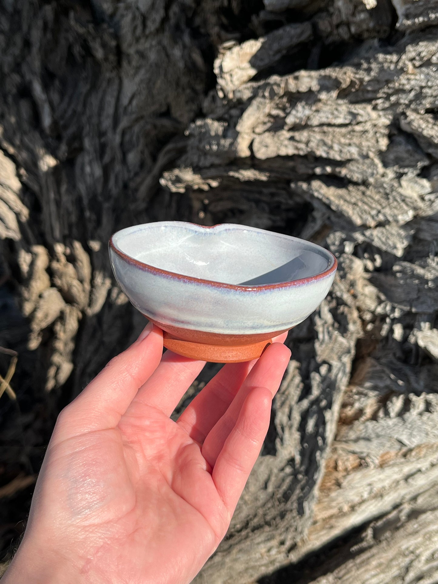 010 Mini Bowl