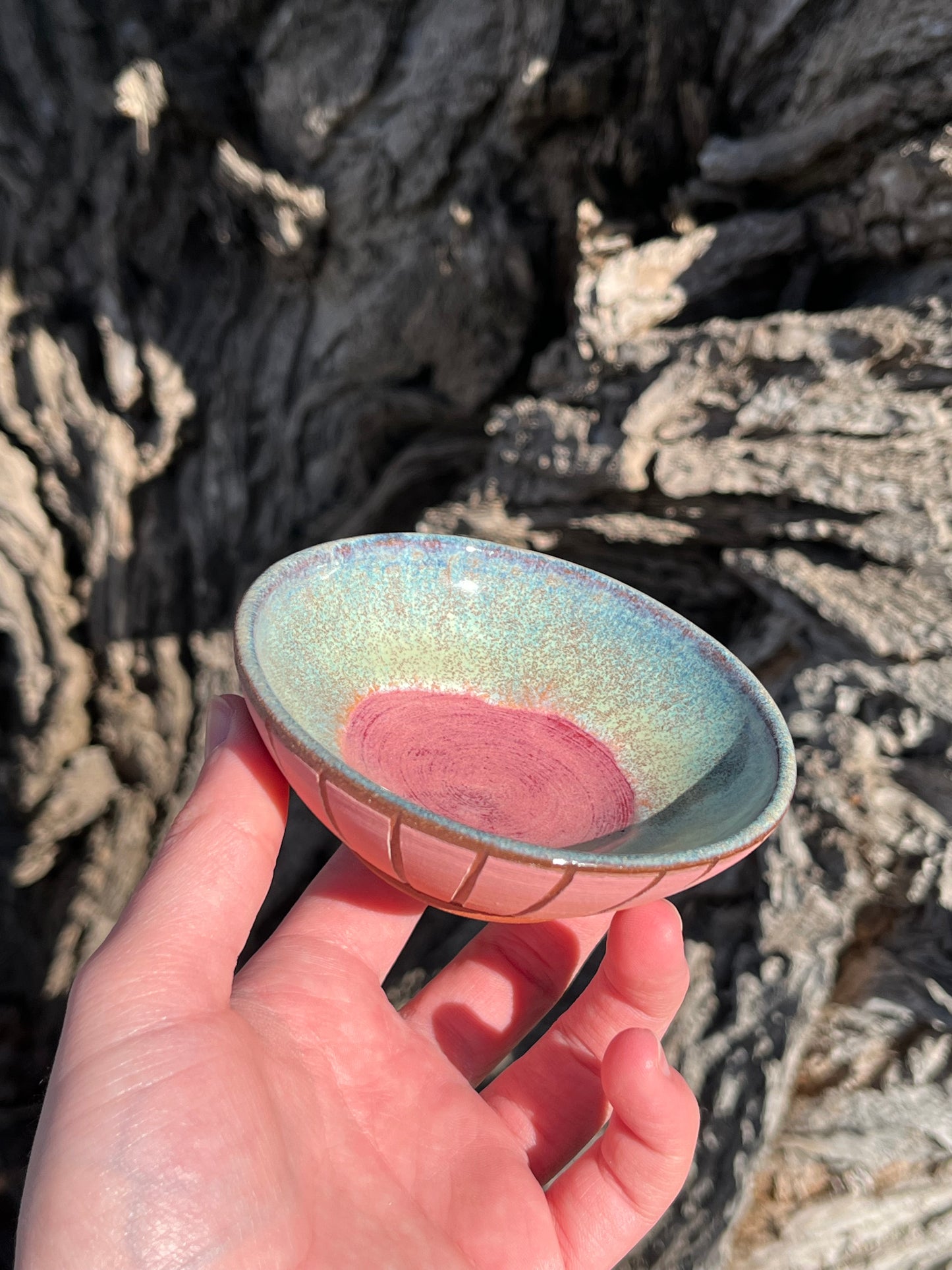 014 Mini Bowl