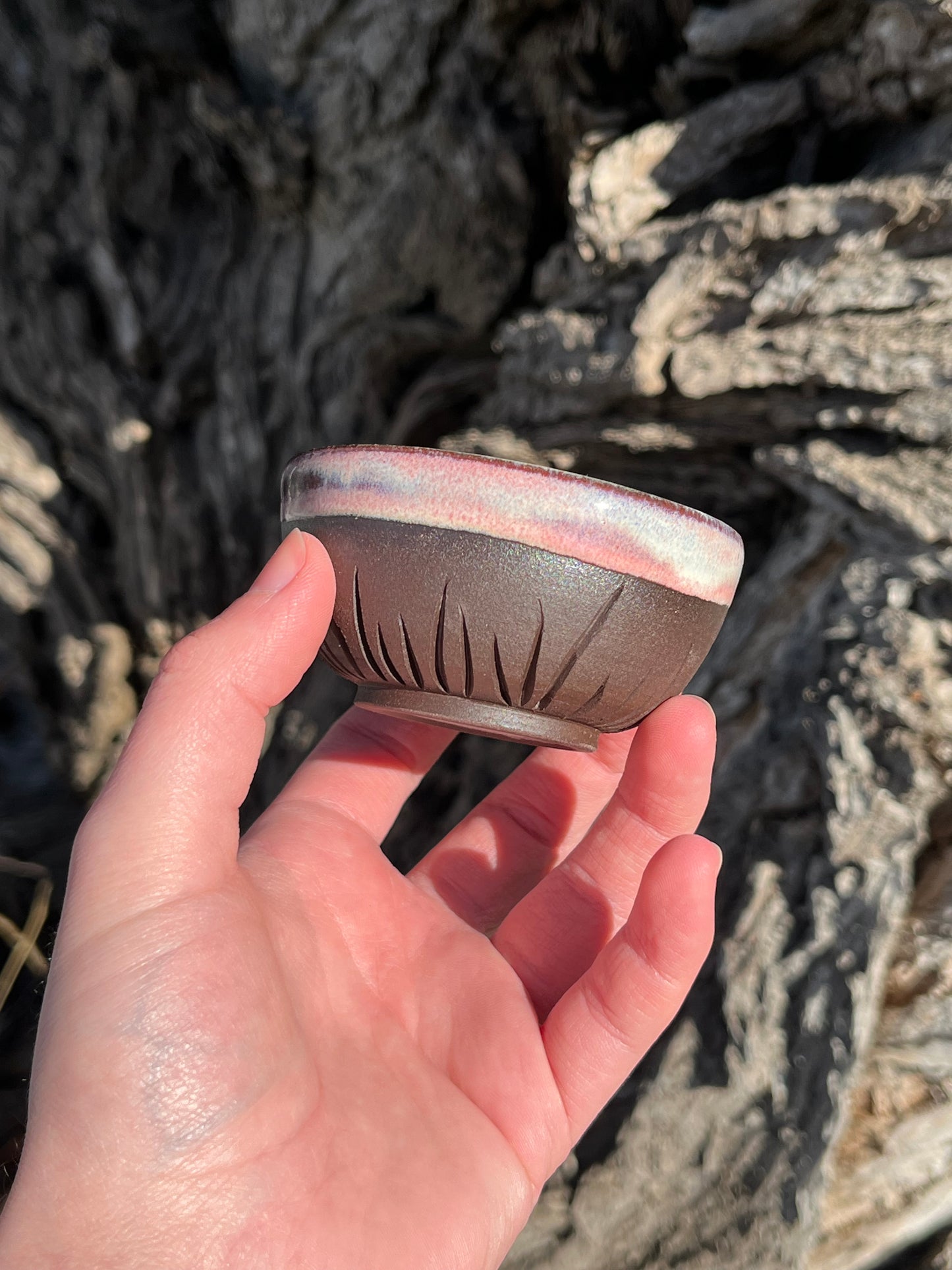015 Mini Bowl