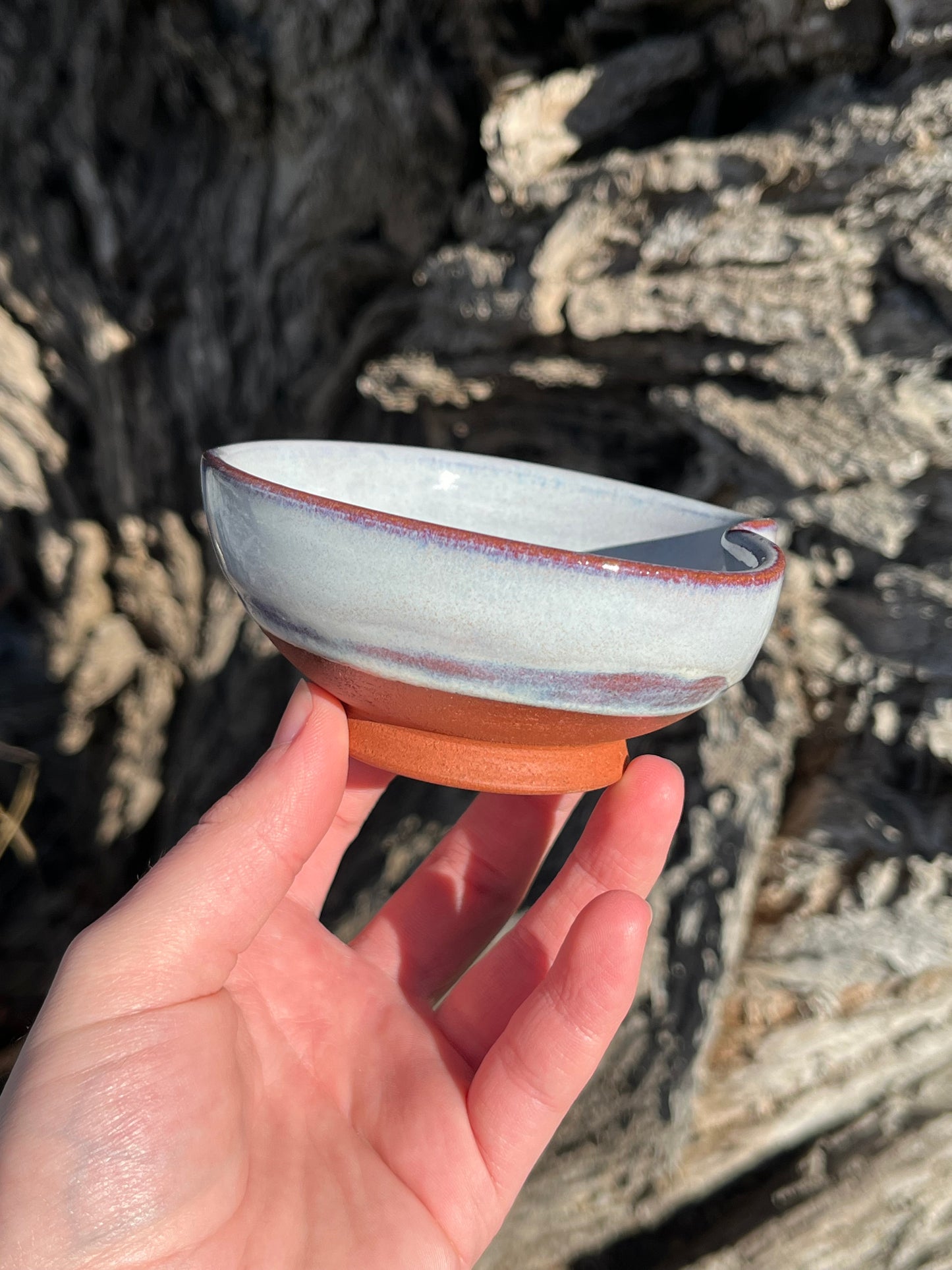 010 Mini Bowl