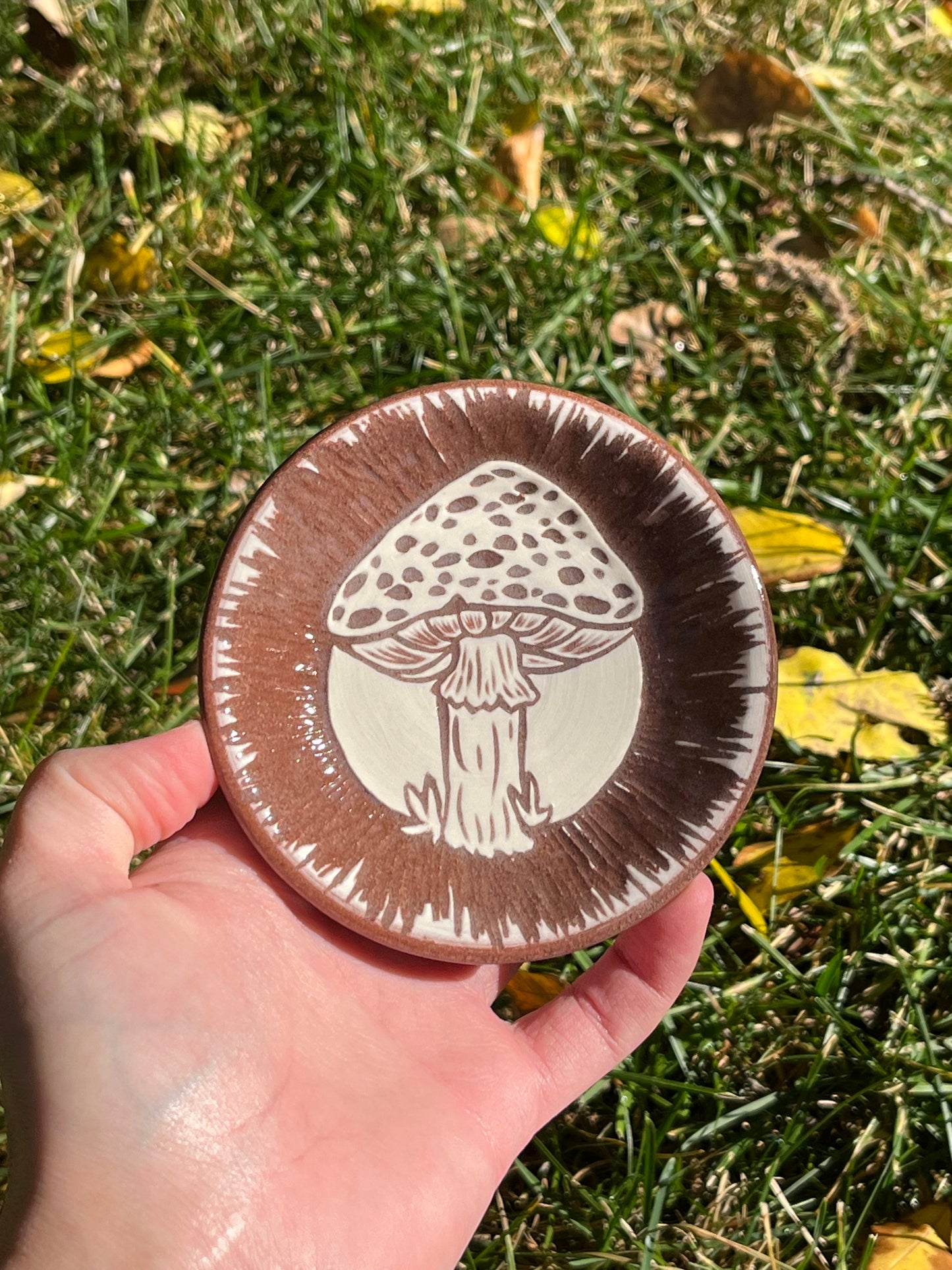 016 Mushroom Dish