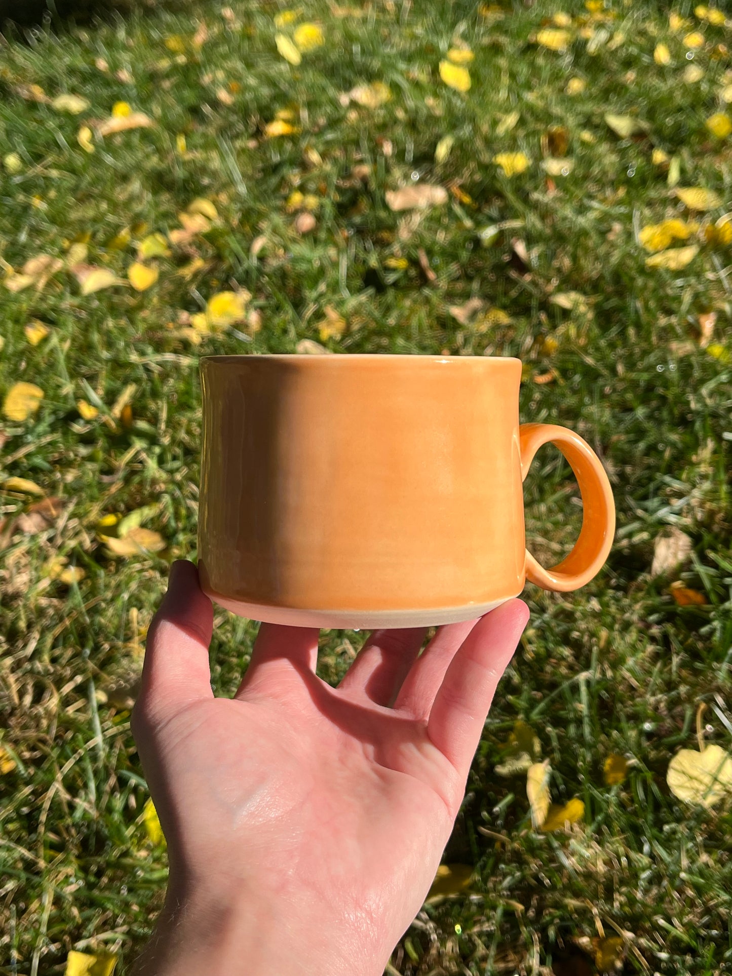 003 Pumpkin Orange Cat Mug